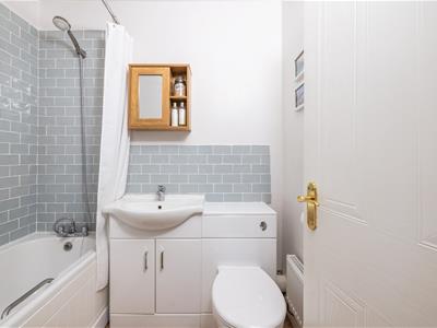 Picture 16